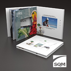 SQM-Video-Book